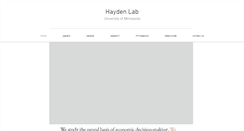 Desktop Screenshot of haydenlab.com
